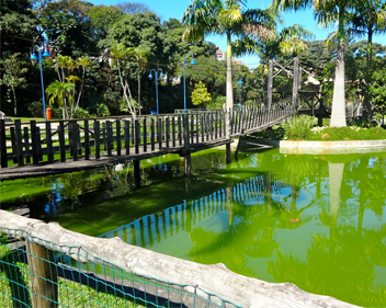 Natureza, diversão e cultura nos Parques em São Caetano